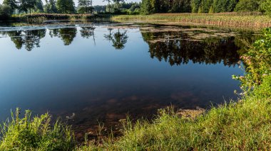 View of the lake in the forest on a sunny,summer day in podlasie,poland.