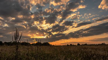 Yazın Narew Nehri vadisinde gün batımı.