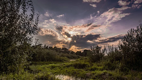 Solnedgång Dalen Floden Narew Sommaren — Stockfoto