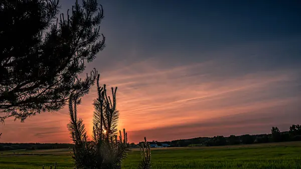 Podlasie Deki Yeşil Buğdayın Üzerinde Batan Güneşin Manzarası Yol Kenarındaki — Stok fotoğraf