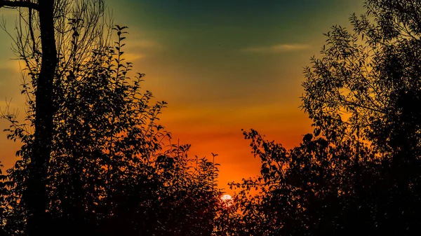 Nebeliger Morgen Tal Suprasl Bei Sonnenaufgang — Stockfoto