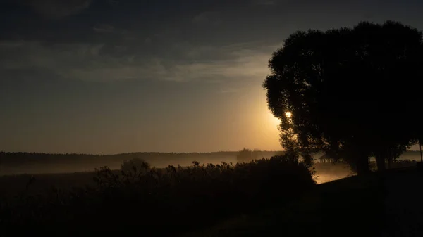 Foggy Morning Valley Suprasl River Sunrise — Stock Photo, Image