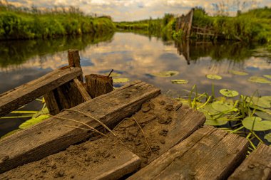 Podlasie 'de deniz manzarası Yazın güneşli bir günde.