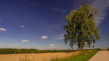 Podlasie 'nin manzarası Yazın güneşli bir günde.