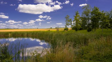 Podlasie 'nin manzarası Yazın güneşli bir günde.