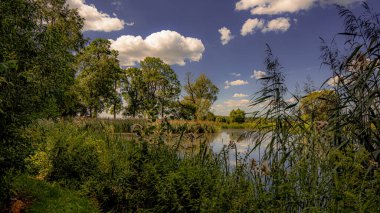 Podlasie 'nin manzarası Yazın güneşli bir günde.