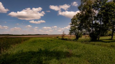 Podlasie 'nin manzarası Yazın güneşli bir günde.