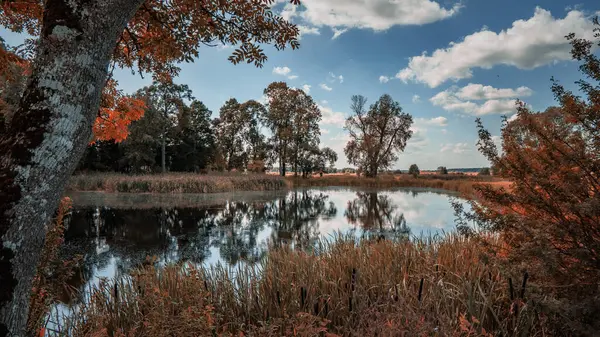 Podlasie 'nin manzarası Yazın güneşli bir günde.