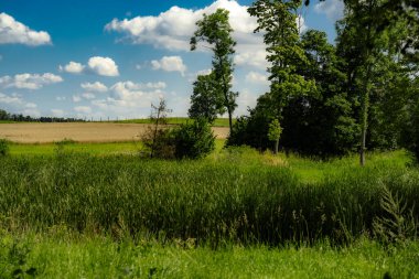 Podlasie 'nin manzarası Yazın güneşli bir günde.