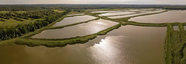 Panorama. Podlasie 'de güneşli bir yaz gününde balık göletlerinin manzarası..