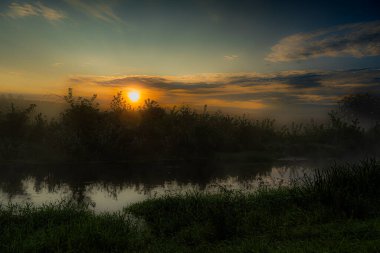 Podlasie 'deki Suprasl Nehri' nin üzerinde sabah sisi..