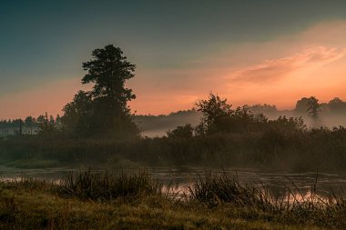 Podlasie 'deki Suprasl Nehri' nin üzerinde sabah sisi..