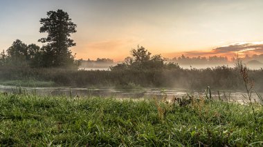 Podlasie 'deki Suprasl Nehri' nin üzerinde sabah sisi..