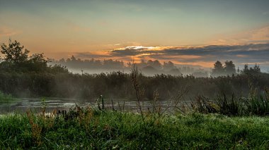 Podlasie 'deki Suprasl Nehri' nin üzerinde sabah sisi..