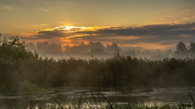 Podlasie 'deki Suprasl Nehri' nin üzerinde sabah sisi..