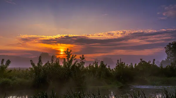 Podlasie 'deki Suprasl Nehri' nin üzerinde sabah sisi..