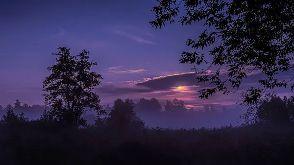 Ранковий Туман Сході Сонця Над Річкою Супрасл Підляшші — стокове фото