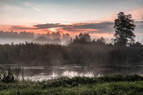 Podlasie 'deki Suprasl Nehri' nin üzerinde sabah sisi..