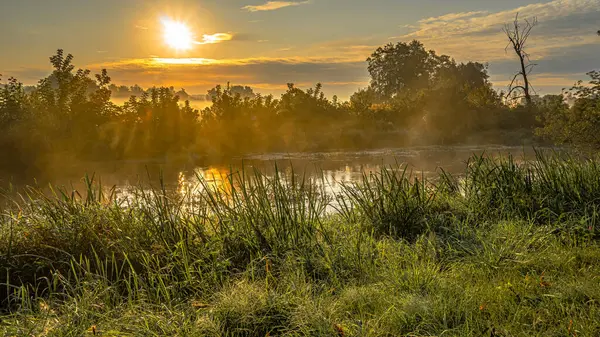 Podlasie 'deki Suprasl Nehri' nin üzerinde sabah sisi..