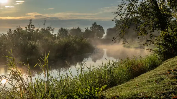 Podlasie 'deki Suprasl Nehri' nin üzerinde sabah sisi..