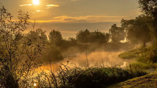 Podlasie 'deki Suprasl Nehri' nin üzerinde sabah sisi..