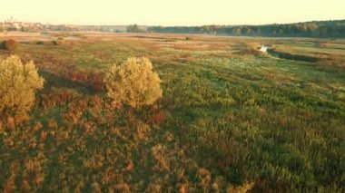 Sonbaharda Suprasl Nehri üzerinde gün doğumu Podlasie 'deki çayırlar ve ormanların arasında.