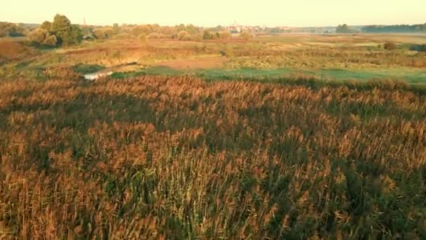 Sonbaharda Suprasl Nehri Üzerinde Gün Doğumu Podlasie Deki Çayırlar Ormanların — Stok video