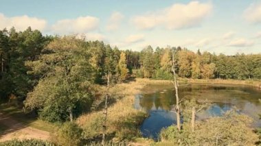 Podlasie 'deki Knyszyn Ormanı' nın ortasında güneşli bir sonbahar gününde göl manzarası..
