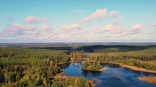 Widok Powietrza Jezioro Środku Puszczy Knyszyńskiej Podlasiu Słoneczny Jesienny Dzień — Wideo stockowe