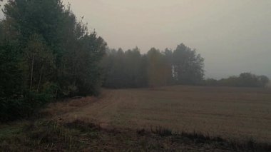 Sabah sisi ormanda ve Podlasie tarlalarında sonbahar renklerinde.