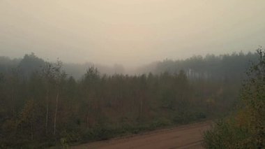 Sabah sisi ormanda ve Podlasie tarlalarında sonbahar renklerinde.