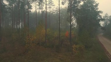 Sabah sisi ormanda ve Podlasie tarlalarında sonbahar renklerinde.