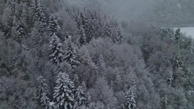 Aerial view of the Poprad Landscape Park in Beskid Sadecki on a snowy winter day.