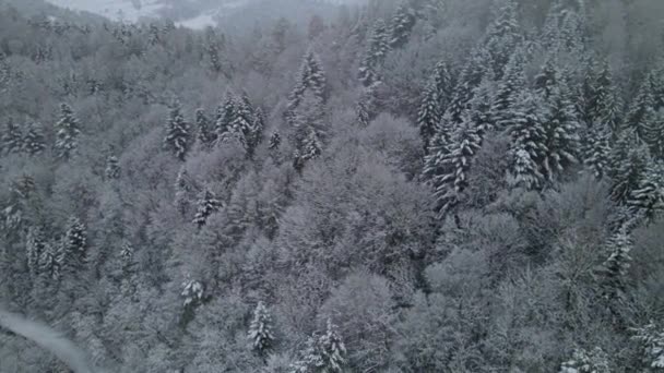 Aerial View Poprad Landscape Park Beskid Sadecki Snowy Winter Day — Stockvideo