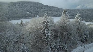Beskid Sadecki 'deki Poprad Peyzaj Parkı' ndaki karlı ağaçların hava manzarası..