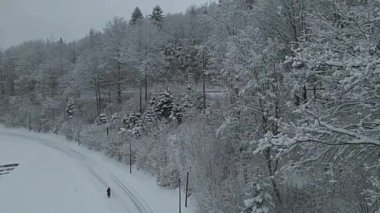 Beskid Sadecki 'deki Poprad Peyzaj Parkı' ndaki karlı ağaçların hava manzarası..