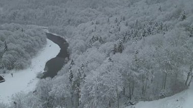 Beskid Sadecki 'deki Poprad Peyzaj Parkı' ndaki karlı ağaçların hava manzarası..