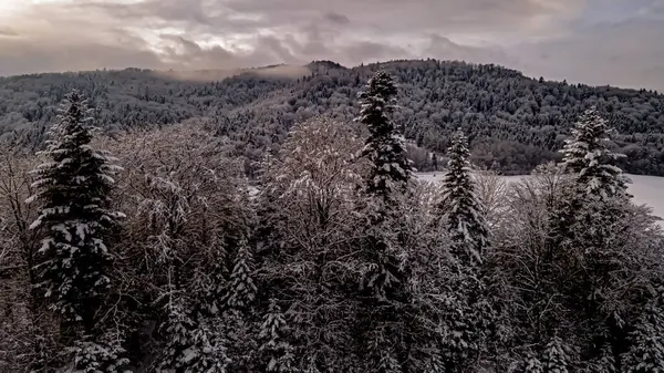 Beskid Sadecki 'deki Poprad Peyzaj Parkı' nın havadan görünüşü..