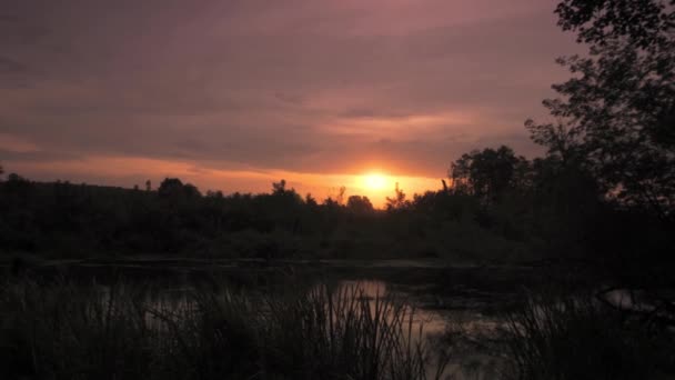 Suprasl Nehri Üzerinde Gün Doğumu Bir Sonbahar Eylül Günü — Stok video