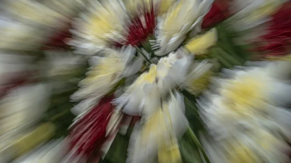 Büyüyen çiçekler, soyut çiçekler, çiçek renkleri, sonbahar renkleri.