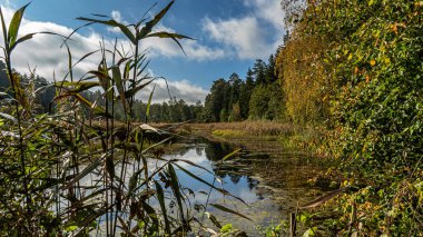 Podlasie 'de güneşli bir yaz gününde Krasna Nehri aşırı büyümüş..