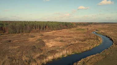 Podlasie 'deki Narew Nehri vadisindeki çayırların ve ormanların güneşli bir sonbahar gününde havadan görünüşü..