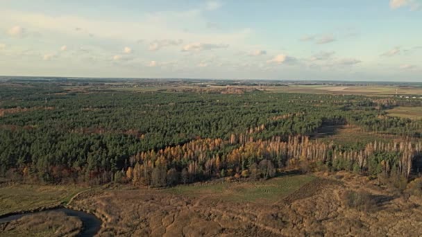 Widok Lotu Ptaka Łąk Lasów Dolinie Rzeki Narew Podlasiu Słoneczny — Wideo stockowe