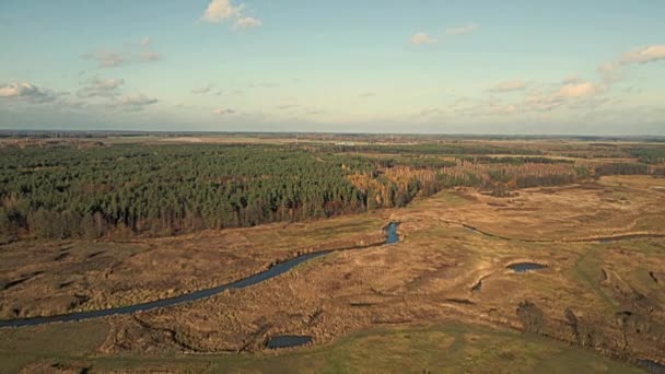Luftaufnahme Von Wiesen Und Wäldern Tal Des Flusses Narew Podlasie — Stockvideo