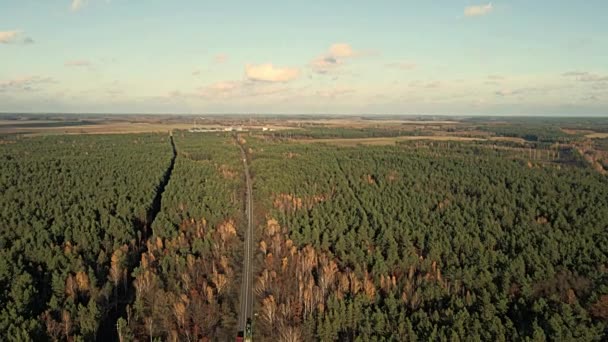 Luftaufnahme Von Wiesen Und Wäldern Tal Des Flusses Narew Podlasie — Stockvideo