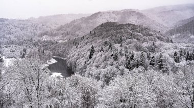 Poprad Nehri üzerindeki Beskid Sadecki 'deki Poprad Peyzaj Parkı' nın kar manzarası.