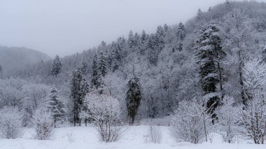 Beskid Sadecki 'deki Poprad Nehri' ndeki Poprad Sadecki 'deki Poprad Peyzaj Parkı' nın kar manzarası..