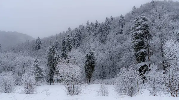 A snow view of the Poprad Landscape Park in Beskid Sadecki on the Poprad Sadecki on the Poprad River.
