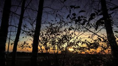 Podlasie 'de ağaçların arasından görünen sonbahar günbatımı.
