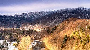 Beskid Sadecki dağlarındaki Poprad Nehri üzerindeki Poprad Peyzaj Parkı 'nın kış manzarası.